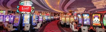 vnd886 Bingo đặc điểm nổi bật